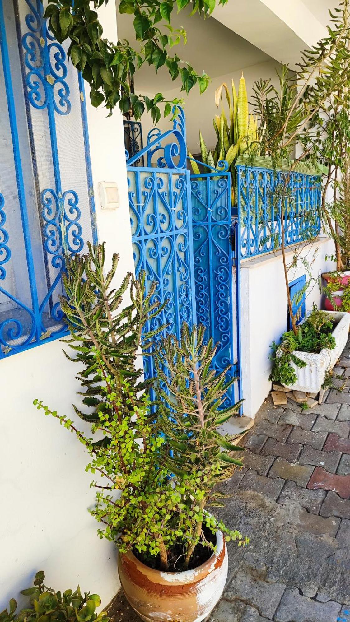 Cosy Appartement In "Sidi Bou Said" Exterior foto